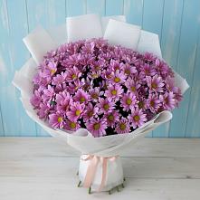Букет цветов из:  Хризантемы в Приволжском Саратовской области