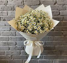Букет цветов из:  Ромашки в Приволжском Саратовской области