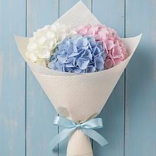 Букет цветов из:  Гортензия #REPLACE_PRED# Приволжском Саратовской области