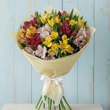 Букет цветов из:  Альстромерии в Приволжском Саратовской области