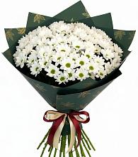 Букет цветов из:  Хризантемы в Приволжском Саратовской области