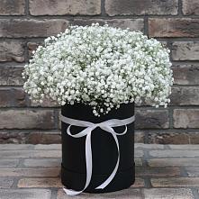 Цветочная композиция из Гипсофила в шляпной коробке в Приволжском Саратовской области