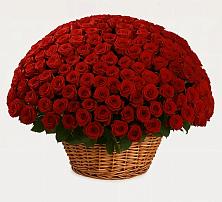 Премиум букет из: Розы в Приволжском Саратовской области