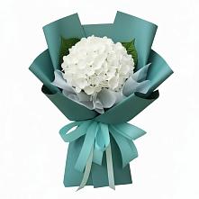 Букет цветов из:  Гортензия в Приволжском Саратовской области